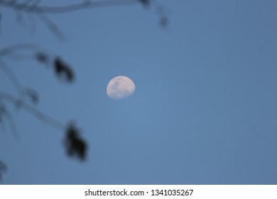 Selenophilen Person Who Loves Moon Stock Photo 1341035267 | Shutterstock