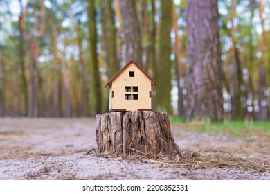 Self Assembly Wooden Toy House Model Placed On A Tree Stump In The Forest