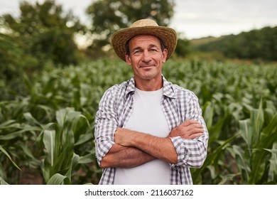 Self assured mature man in checkered shirt and straw hat crossing arms and looking at camera while standing in corn field on farm - Shutterstock ID 2116037162