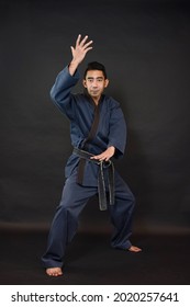 Self Defense Martial Arts Man Master Hapkido