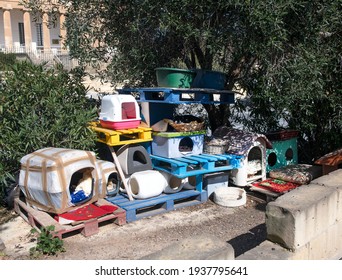 A Lot Of Self Made Cat Shelters For Stray Cats Made By Volunteers In Malta. Cat Houses Consisting Out Of Cardboard, Wood, Scrap Materials, Also Various Boxes. Take Care Of Animals. 