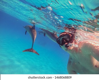 Selfie with dolphins. The guy swims with dolphins in the open sea and shoots them on the action camera.