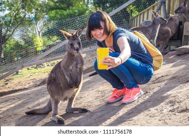 Selfie With Kangaroo In Australia.