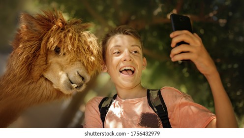 Selfie time in the zoo! Cute boy with his friend lama making selfie, smiling and have fun in the countryside. Cool weekend