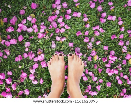 Selfie woman feet with dark red nails on pink Bougainvillea flowers and leaves dropped on green grass. Springtime, summer or autumn floral background.