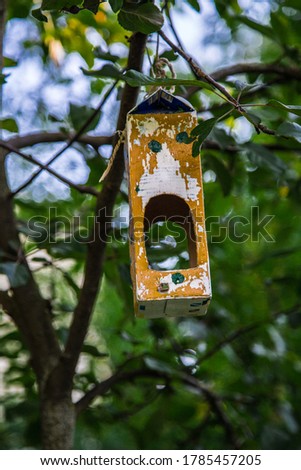 A selfmade birdhouse on a tree