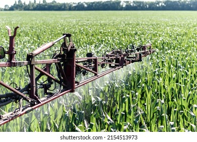 Self-propelled sprayer sprays pesticides on green corn on the field close up. Pesticide sprayer. The tractor sprays the grass with pesticides.
