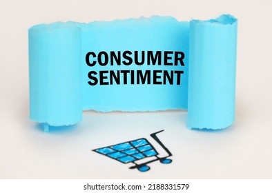 Seller And Buyer Concept. A Consumer Basket Is Drawn On A White Background, Next To It Is A Blue Plate With The Inscription - Consumer Sentiment