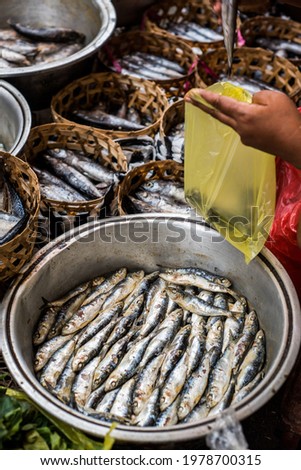 selling fish in traditional markets