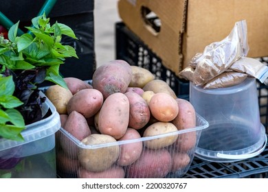 Selling Potatoes And Greens At A Street Bazaar. Fresh Ripe Vegetables Grown On A Farm On A Small Counter