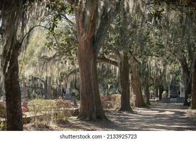 Selma Alabama USA - March 1 2022: Live Oak Cemetery