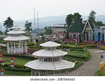 Semarang, Indonesia - May 05, 2021 : Celosia Flower Garden Is One Of The Family Tourist Attractions Located In Bandungan