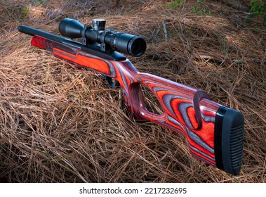 Semi Automatic Rimfire Rifle With A Thumbhole Stock And Optic