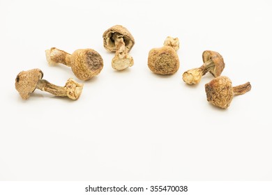 A Semi Circle Row Of Six Mushrooms With Cap And Stalk.  White Background.