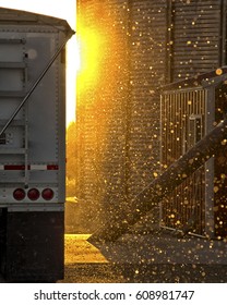 A Semi Unloading Corn And The Bees Wing Fly In The Air As The Setting Sun Reflects Them Like Flakes Of Gold