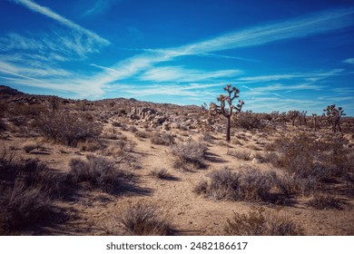 
A semi-arid landscape with scattered trees, their sparse green canopies punctuating the dry, rugged terrain, highlighting nature's tenacity in a harsh environment.
 - Powered by Shutterstock