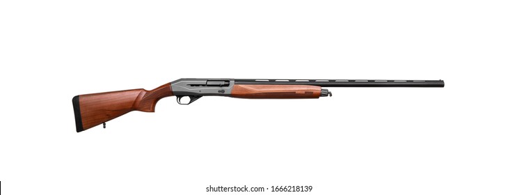 Semi-automatic shotgun with a wooden butt and forearm isolated on white background. Weapon for sport and hunting on a light back.
