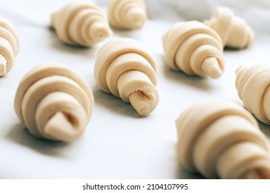 Semifinished Or Unbaked Croissant On A Baking Sheet. Puff Pastry Baking. Close Up.