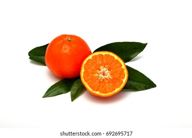 Seminole Citrus