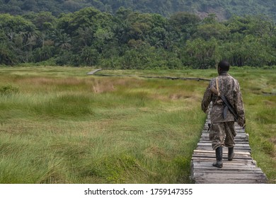 SEMULIKI N.P., UGANDA - JANUARY 24 2020: Unidentified Park Ranger Walks Through A Swamp Towards Jungle Of Semuliki National Park, Uganda. Working As Ranger Is A Good Source Of Income For Local People.