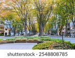 Sendai Jozenji Street in Autumn
