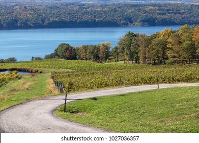 Seneca Lake Wine Trail.  Destination Finger Lake Region Of New York State