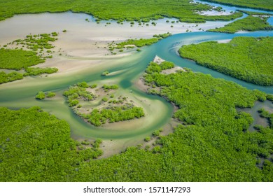 Senegal Mangroves. Aerial view of mangrove forest in the  Saloum Delta National Park, Joal Fadiout, Senegal. Photo made by drone from above. Africa Natural Landscape.