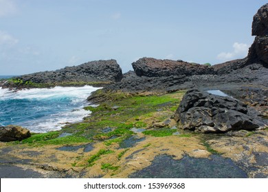 Senegal,isle De La Madeleine In Front Of Dakar 