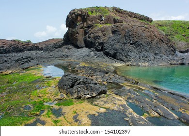 Senegal,isle De La Madeleine In Front Of Dakar 