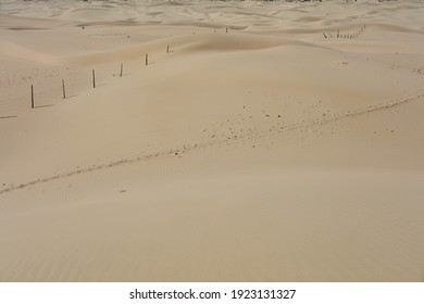 Senek Desert, western Kazakhstan, Mangistau plateau