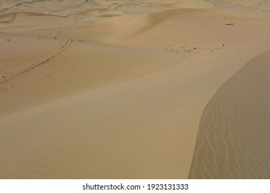Senek Desert, western Kazakhstan, Mangistau plateau