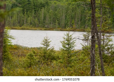 Seney National Wildlife Refuge In Michigan