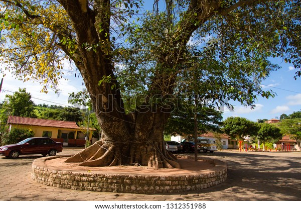 Senhora do Porto Minas Gerais fonte: image.shutterstock.com