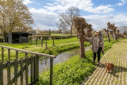 Senior Adult Woman Wearing An Indian Poncho With Her Brown Dachshund Standing By Pollard Willow Tree Next To Stream, Agricultural Land In Background Against Blue Sky, Sunny Day In The Netherlands