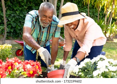 Senior African American couple spending time in their garden on a sunny day, planting flowers. Social distancing and self isolation in quarantine lockdown. - Powered by Shutterstock