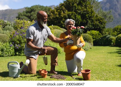 Senior african american couple spending time in sunny garden together planting flowers. retreat, retirement and happy senior lifestyle concept. - Powered by Shutterstock