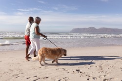 Senior African American Couple Walking A Dog At The Beach. Travel Vacation Retirement Lifestyle Concept