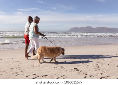 Senior African American Couple Walking A Dog At The Beach. Travel Vacation Retirement Lifestyle Concept