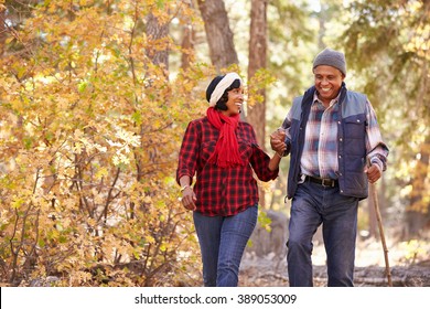 Senior African American Couple Walking Through Fall Woodland