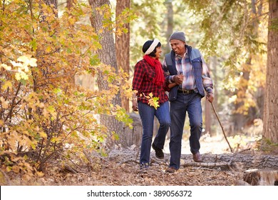 Senior African American Couple Walking Through Fall Woodland