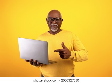 Senior African American Man In Glasses Pointing At Laptop Computer On Orange Studio Background. Elderly Black Male Using Portable Pc For Work, Entertainment Or Online Studies