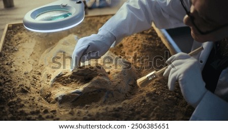 Senior archaeologist cleans fossil remains of dinosaur skeleton under lamp after excavation using brush and tools in archaeological lab. Male scientist studies ancient extinct human or animal bones.