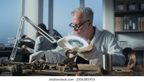 Senior archaeologist works with fossil remains in archaeological lab. Paleontologist in lab coat studies bones of ancient animals under lamp with magnifying glass, cleans them with brush and tools.