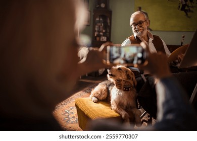 Senior artist painting at home with dog by his side in sunny studio - Powered by Shutterstock