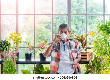 Senior Asian Man Is Drinking Coffee And Relaxing Alone In His Houseplant Room While In Quarantine At Home.