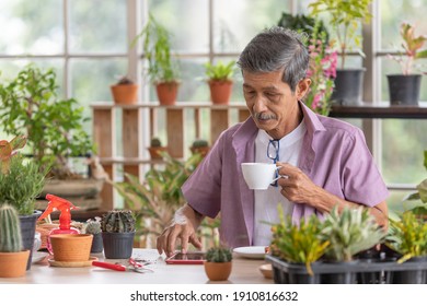 A senior Asian man working in a planting hobby room and drinking coffee with happiness and calm moment. Idea for relaxing and slowly life of older people after retirement.