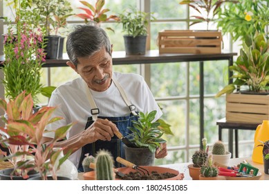 Senior Asian Retirement Old Man In Casual Outfit Doing A Hobby With Happy And Relax Gardening Tree Plant In Greenhouse Garden Farm