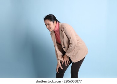 The Senior Asian Woman With Pink Shirt Brown Blazer On The Blue Background.