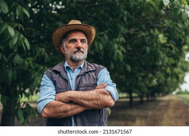 Senior Bearded Farmer Posing Outdoor