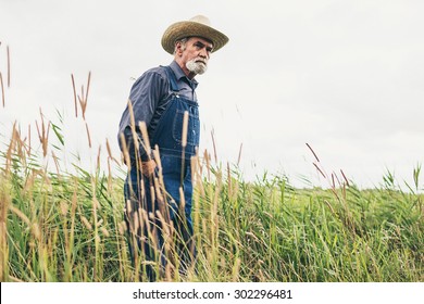 202 Country bumpkin Images, Stock Photos & Vectors | Shutterstock